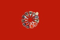 绥棱回收红酒